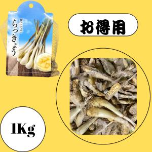 らっきょう 種球 1kg 家庭菜園用 プランタ...の詳細画像1