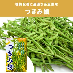 ３袋以上でクーポン割引 つきみ娘 エダマメ 種 1dL 枝豆 えだまめ カネコ 野菜種 野菜 園芸 栽培 種まき 野菜の種 小袋 人気 おすすめ 種子 たね タネ