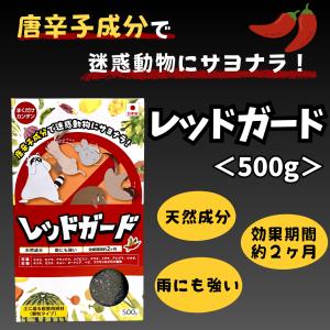 アライグマ撃退 忌避剤 撃退アライグマ激臭シート 10個入 激辛臭が約2