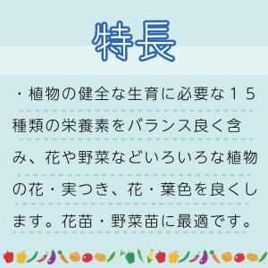 ハイポネックス 原液 450mlの詳細画像1