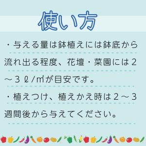ハイポネックス 原液 450mlの詳細画像2