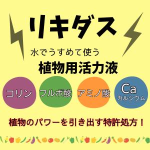 ハイポネックス リキダス 800mlの詳細画像1
