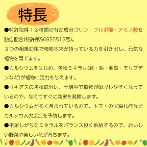 ハイポネックス リキダス 800mlの詳細画像2