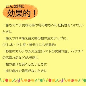 ハイポネックス リキダス 800mlの詳細画像3