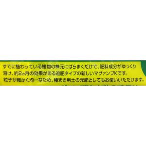 マグァンプK 小粒 500g ハイポネックス ...の詳細画像1