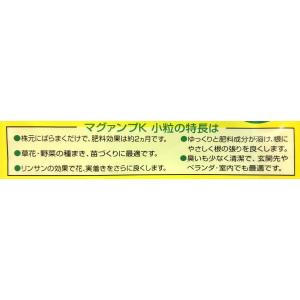 マグァンプK 小粒 500g ハイポネックス ...の詳細画像2