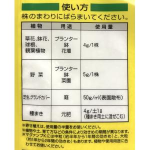 マグァンプK 小粒 500g ハイポネックス ...の詳細画像3