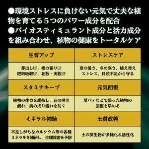 エックスエナジー X-ENERGY ロング 7...の詳細画像1