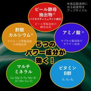 エックスエナジー X-ENERGY ロング 7...の詳細画像2