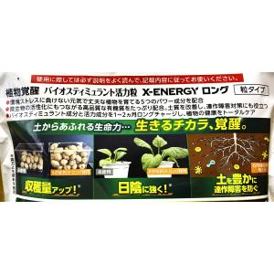 エックスエナジー X-ENERGY ロング 7...の詳細画像3