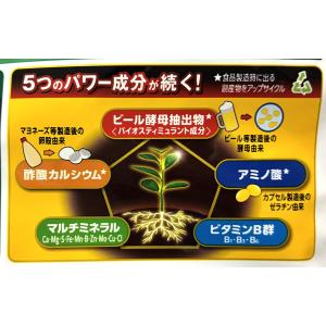 エックスエナジー X-ENERGY ロング 7...の詳細画像4