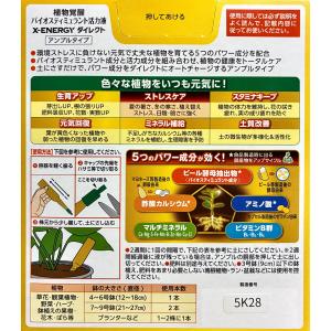 エックスエナジー X-ENERGY アンプルタ...の詳細画像4