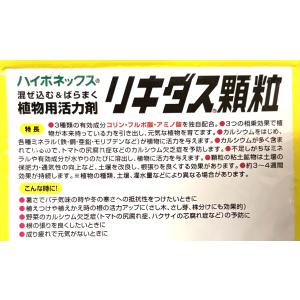 ハイポネックス リキダス 顆粒 500g 肥料...の詳細画像2