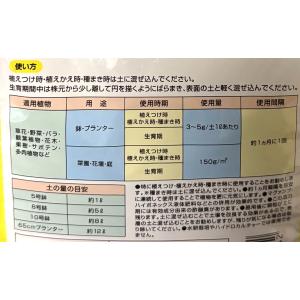 ハイポネックス リキダス 顆粒 500g 肥料...の詳細画像3