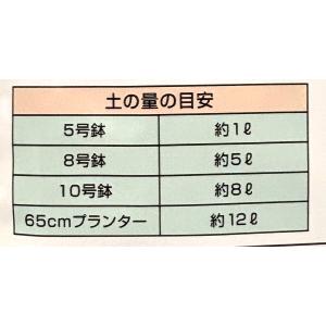 ハイポネックス リキダス 顆粒 500g 肥料...の詳細画像4