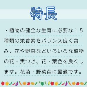 ハイポネックス 原液 800ml 活力剤 液体...の詳細画像1