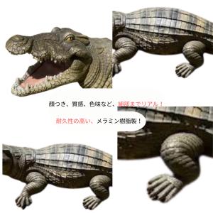 ワニ 置物 ガーデニング 79cm メラミン樹...の詳細画像4