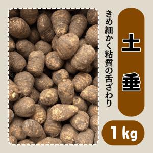 土垂 さといも 種芋 1kg 里芋 サトイモ