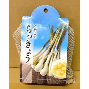 3袋以上でクーポン割引 らっきょう 種球 25...の詳細画像1