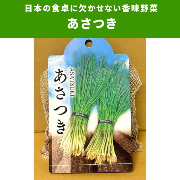 ３袋以上でクーポン割引 あさつき 種球 200g  野菜種 野菜 園芸 人気 栽培 種子 野菜の種 ...