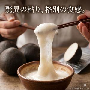 新丹丸 種芋 5片 つくね芋 ヤマノイモ 丹波...の詳細画像3