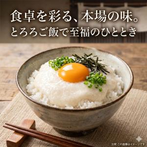 新丹丸 種芋 5片 つくね芋 ヤマノイモ 丹波...の詳細画像4