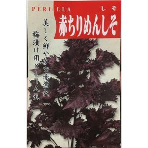 赤ちりめんしそ【種】｜komesan