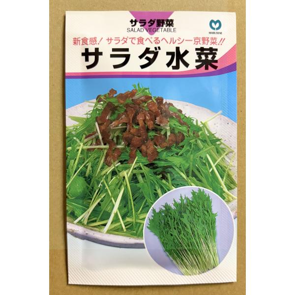 ３袋以上でクーポン割引 サラダ水菜 4ml 種 みずな ミズナ 送料無料 小袋 野菜種 野菜 園芸 ...