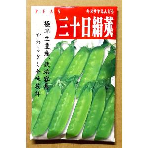 野菜の種/種子 赤花絹莢・つるなし/きぬさや/えんどう 1dl （メール便