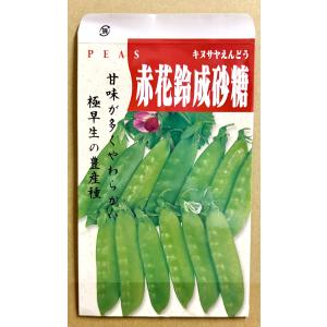 魚豆 NANOナットウキナーゼPREMIUMα 330粒【2024年リニューアル