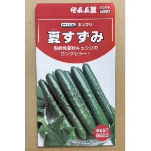 3袋以上でクーポン割引 風神 夏秋 きゅうり 種 10粒 キュウリ 胡瓜 