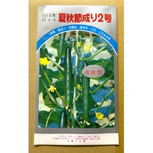 3袋以上でクーポン割引 夏秋節成り2号 胡瓜 ...の詳細画像1