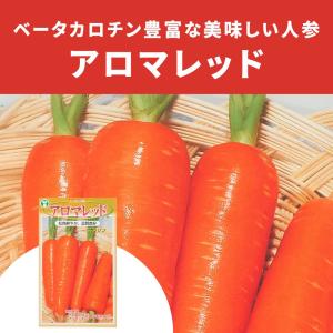 人参 アロマレッド 5ml (約1130粒) （株）トーホク : グリーンロフト