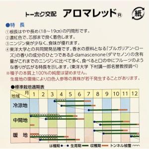 3袋以上でクーポン割引 アロマレッド ニンジン...の詳細画像2