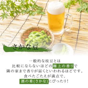 3袋以上でクーポン割引 さかな豆 枝豆 種 1...の詳細画像1