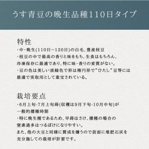 3袋以上でクーポン割引 さかな豆 枝豆 種 1...の詳細画像2
