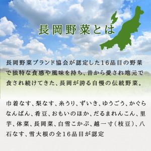 3袋以上でクーポン割引 さかな豆 枝豆 種 1...の詳細画像3