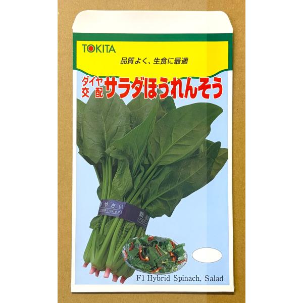 ３袋以上でクーポン割引 サラダほうれんそう 40ｍl 種 法蓮草 ホウレンソウ 送料無料 小袋 野菜...