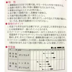 3袋以上でクーポン割引 ミルキーシュガー85 ...の詳細画像1