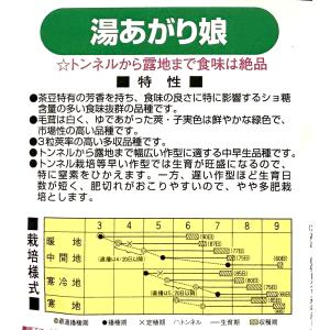 3袋以上でクーポン割引 湯あがり娘 エダマメ ...の詳細画像1