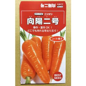3袋以上でクーポン割引 向陽二号 人参 コート...の詳細画像1