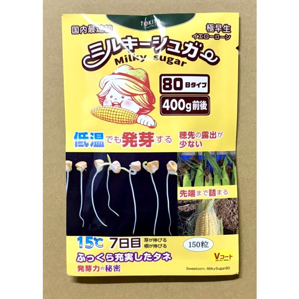 ３袋以上でクーポン割引 ミルキーシュガー80 種 150粒　とうもろこし スイートコーン 低温発芽 ...
