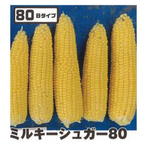 3袋以上でクーポン割引 ミルキーシュガー80 ...の詳細画像3