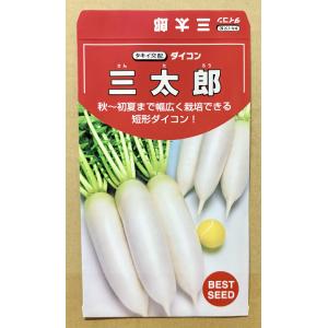 3袋以上でクーポン割引 三太郎 大根 種 2....の詳細画像1