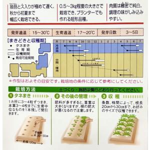 3袋以上でクーポン割引 三太郎 大根 種 2....の詳細画像2