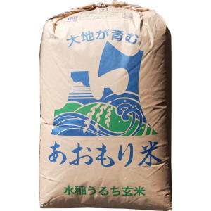 【新米】玄米 5kg 青森 青天の霹靂(へきれき)...