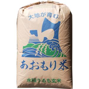 【５年産】玄米　5kg　青森　青天の霹靂（へきれき）