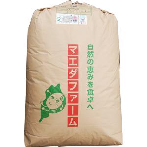 コシヒカリ 【7年産】玄米 20kg 環境こだわり米 滋賀朽木 こしひかり