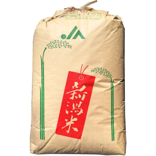【５年産】玄米　10kg(5kg×2袋)　新潟　新之助（しんのすけ）
