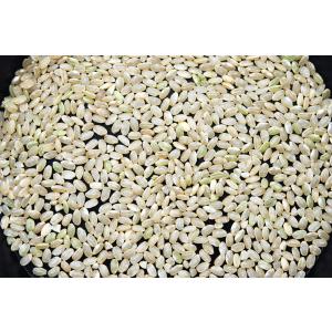 【7年産】玄米 2kg 特別栽培米 岐阜飛騨 ...の詳細画像2